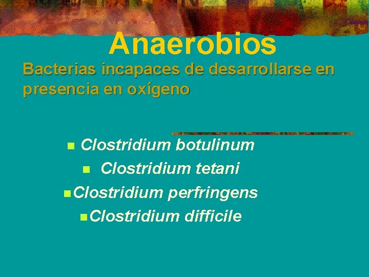 Anaerobios Bacterias incapaces de desarrollarse en presencia en oxígeno Clostridium botulinum n Clostridium tetani