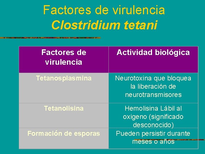 Factores de virulencia Clostridium tetani Factores de virulencia Actividad biológica Tetanosplasmina Neurotoxina que bloquea