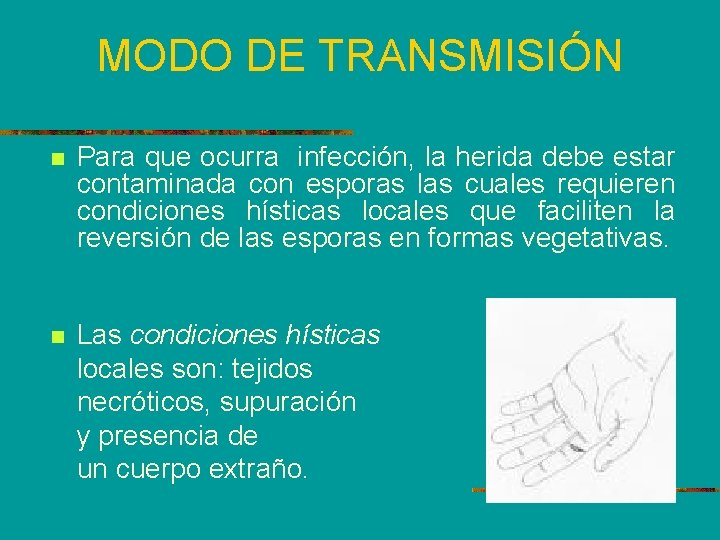 MODO DE TRANSMISIÓN n Para que ocurra infección, la herida debe estar contaminada con