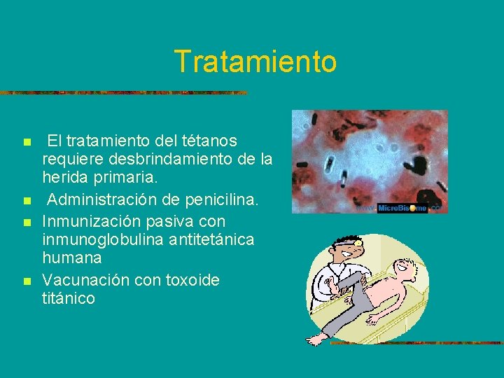 Tratamiento n n El tratamiento del tétanos requiere desbrindamiento de la herida primaria. Administración