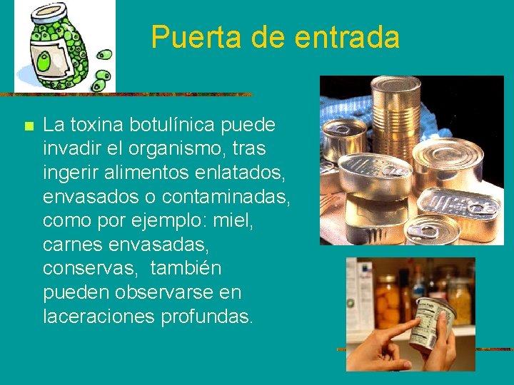 Puerta de entrada n La toxina botulínica puede invadir el organismo, tras ingerir alimentos