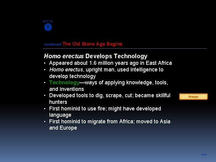 SECTION 1 continued The Old Stone Age Begins Homo erectus Develops Technology • Appeared