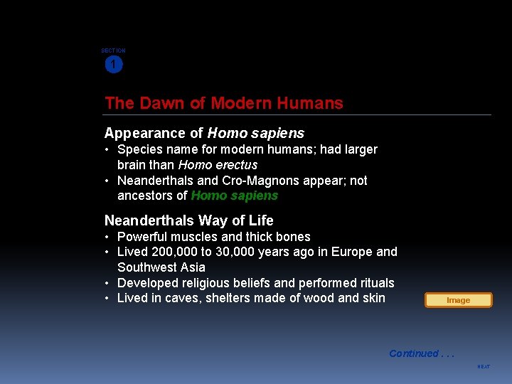 SECTION 1 The Dawn of Modern Humans Appearance of Homo sapiens • Species name