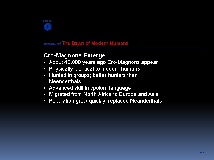 SECTION 1 continued The Dawn of Modern Humans Cro-Magnons Emerge • About 40, 000