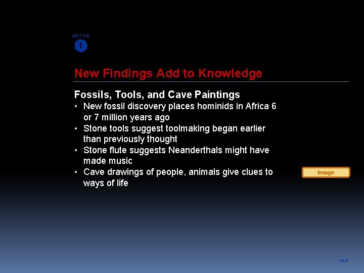 SECTION 1 New Findings Add to Knowledge Fossils, Tools, and Cave Paintings • New