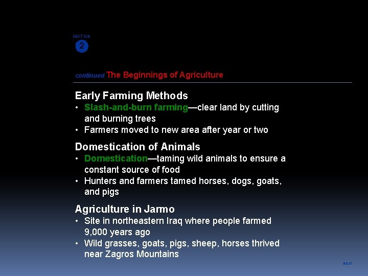 SECTION 2 continued The Beginnings of Agriculture Early Farming Methods • Slash-and-burn farming—clear land