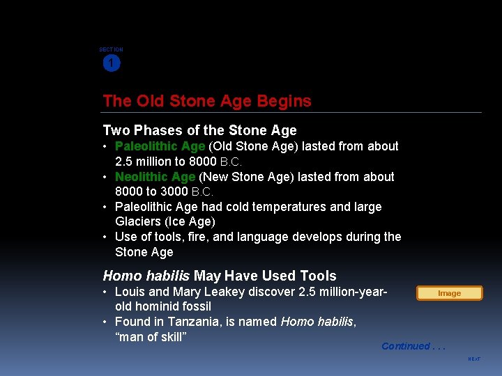 SECTION 1 The Old Stone Age Begins Two Phases of the Stone Age •