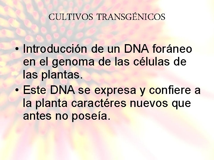 CULTIVOS TRANSGÉNICOS • Introducción de un DNA foráneo en el genoma de las células