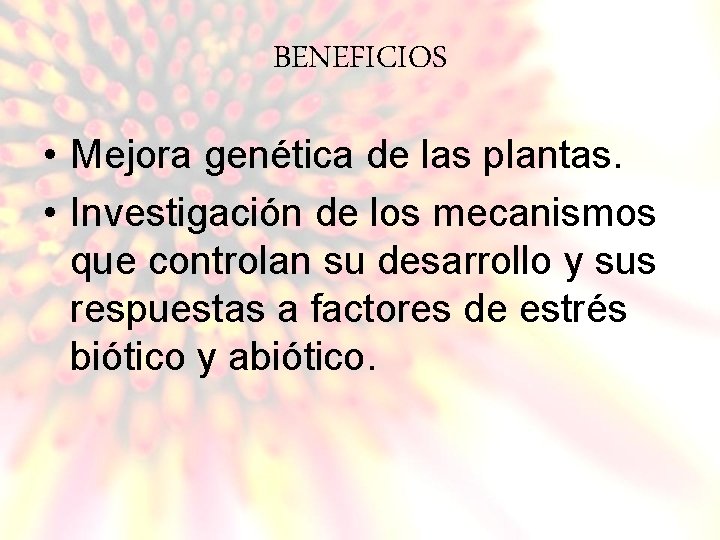 BENEFICIOS • Mejora genética de las plantas. • Investigación de los mecanismos que controlan