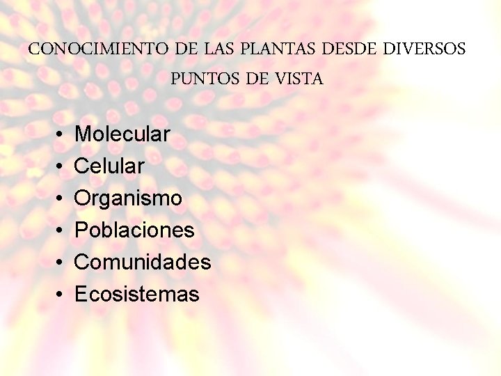 CONOCIMIENTO DE LAS PLANTAS DESDE DIVERSOS PUNTOS DE VISTA • • • Molecular Celular