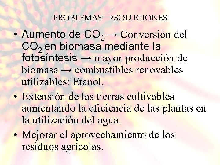 PROBLEMAS→SOLUCIONES • Aumento de CO 2 → Conversión del CO 2 en biomasa mediante