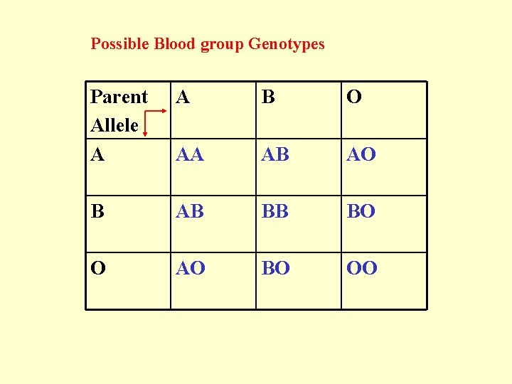 Possible Blood group Genotypes Parent Allele A A B O AA AB AO B