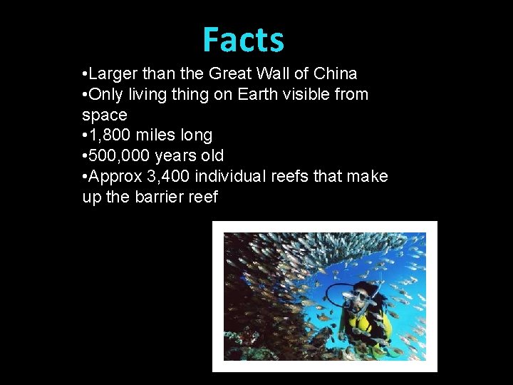 Facts • Larger than the Great Wall of China • Only living thing on