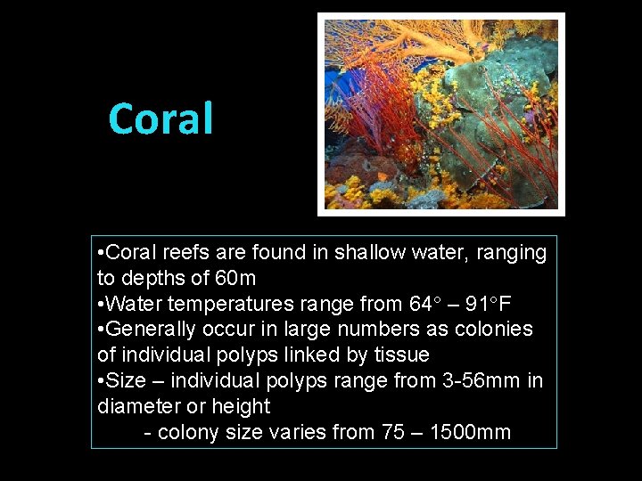 Coral • Coral reefs are found in shallow water, ranging to depths of 60
