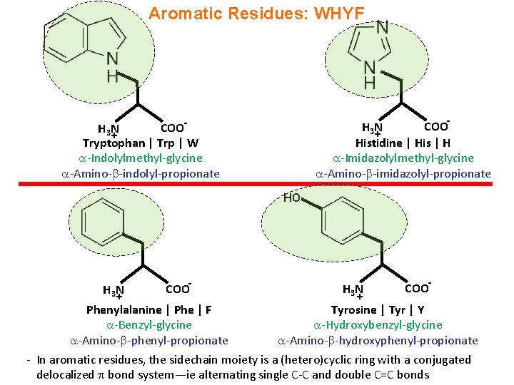 Aromatic Residues: WHYF COOH 3 N + Histidine | His | H -Imidazolylmethyl-glycine -Amino-