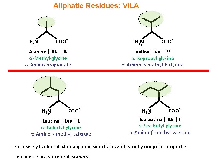 Aliphatic Residues: VILA COO- H 3 N + + Alanine | Ala | A