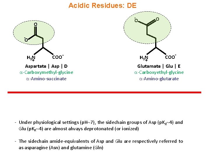Acidic Residues: DE - O O O - O H 3 N + COO-