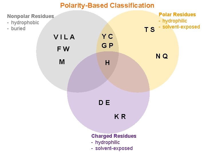 Polarity-Based Classification Nonpolar Residues - hydrophobic - buried VILA FW M TS YC GP