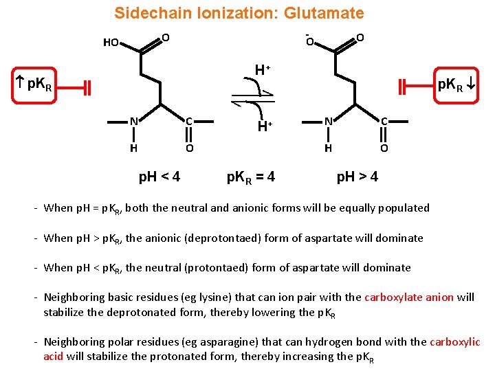 Sidechain Ionization: Glutamate - O HO O O H+ p. KR N C H