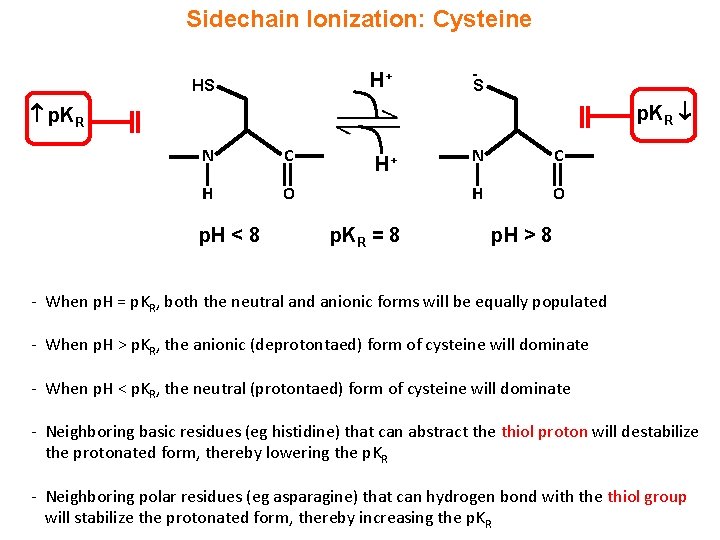 Sidechain Ionization: Cysteine H+ HS S p. KR N C H O p. H
