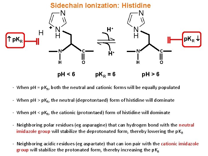 Sidechain Ionization: Histidine p. KR H + H+ p. KR N C H O