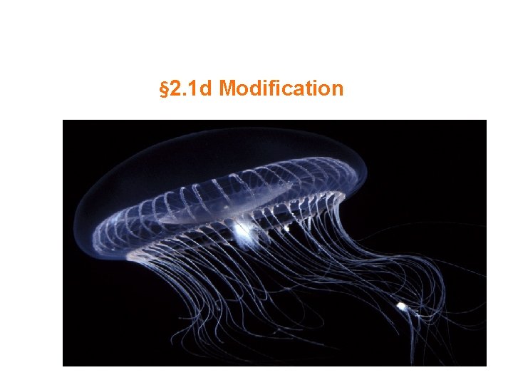 § 2. 1 d Modification 