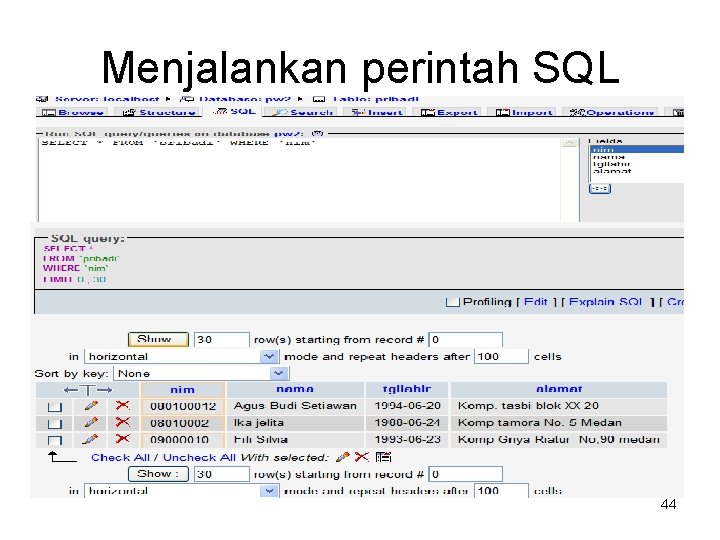 Menjalankan perintah SQL 44 
