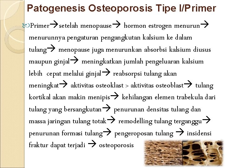 Patogenesis Osteoporosis Tipe I/Primer setelah menopause hormon estrogen menurunnya pengaturan pengangkutan kalsium ke dalam