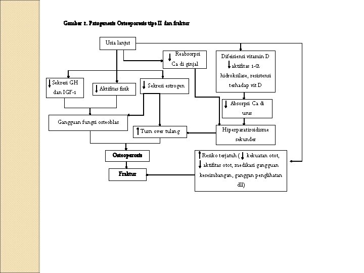 Gambar 2. Patogenesis Osteoporosis tipe II dan fraktur Usia lanjut Reabsorpsi Ca di ginjal