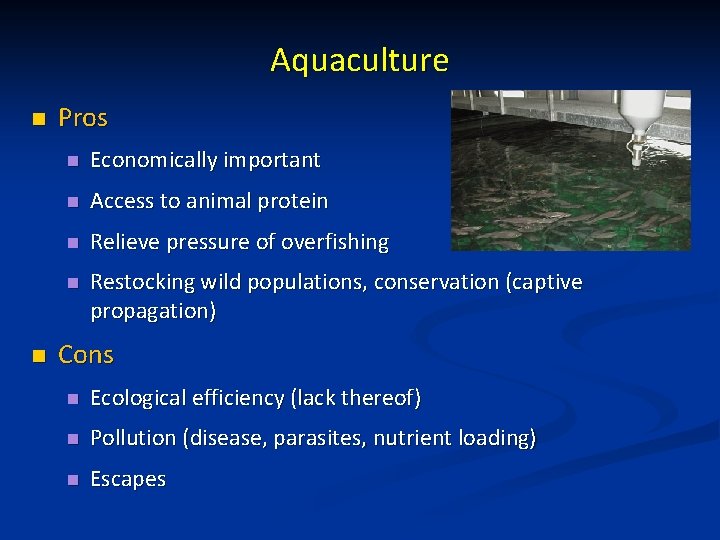 Aquaculture n n Pros n Economically important n Access to animal protein n Relieve