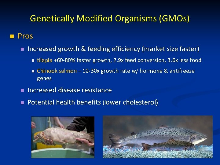 Genetically Modified Organisms (GMOs) n Pros n Increased growth & feeding efficiency (market size