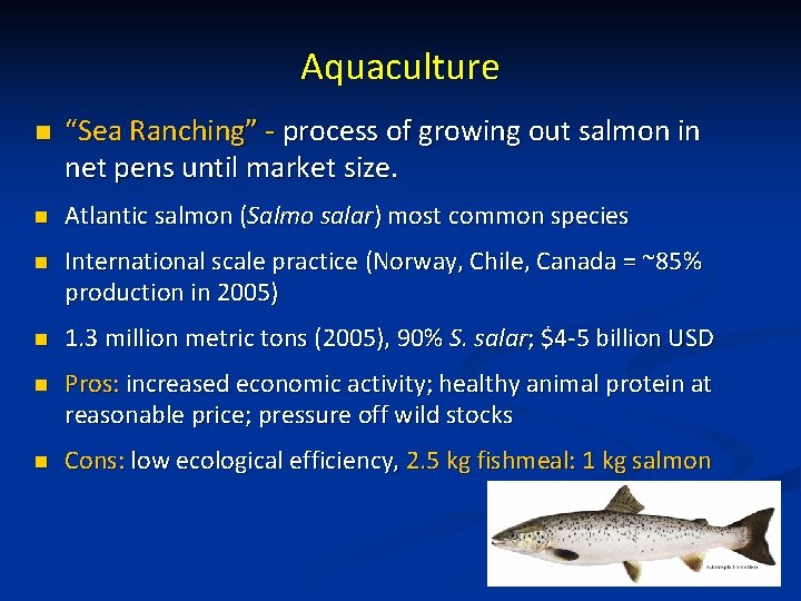 Aquaculture n “Sea Ranching” - process of growing out salmon in net pens until