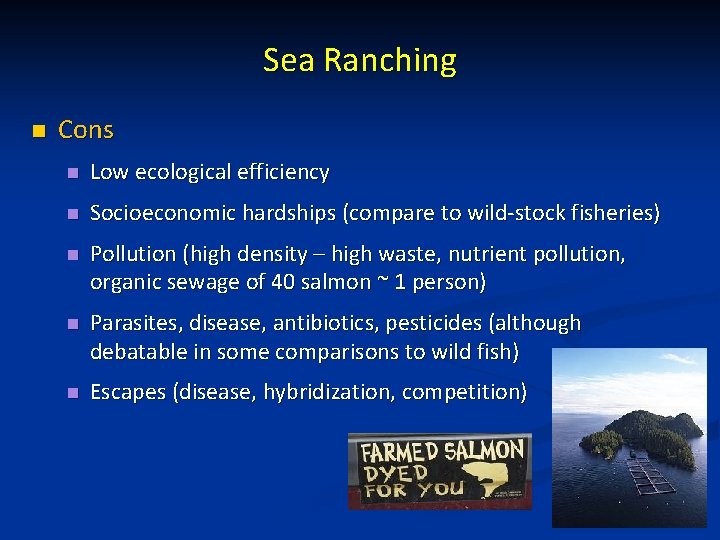 Sea Ranching n Cons n Low ecological efficiency n Socioeconomic hardships (compare to wild-stock