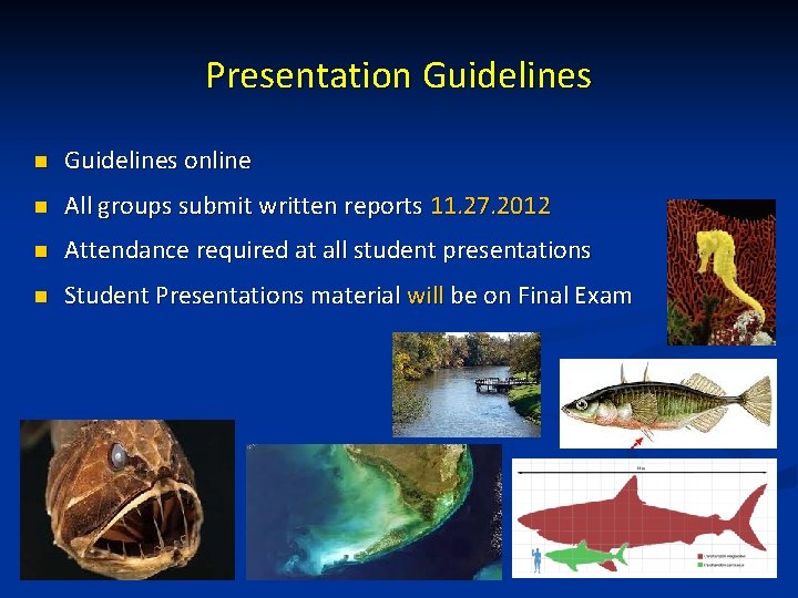 Presentation Guidelines online n All groups submit written reports 11. 27. 2012 n Attendance