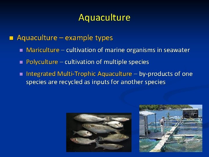 Aquaculture n Aquaculture – example types n Mariculture – cultivation of marine organisms in