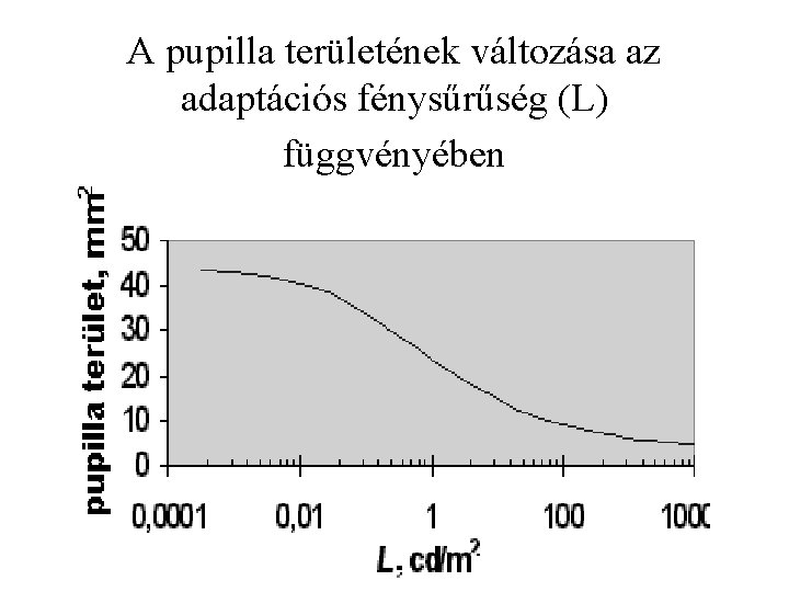 A pupilla területének változása az adaptációs fénysűrűség (L) függvényében 