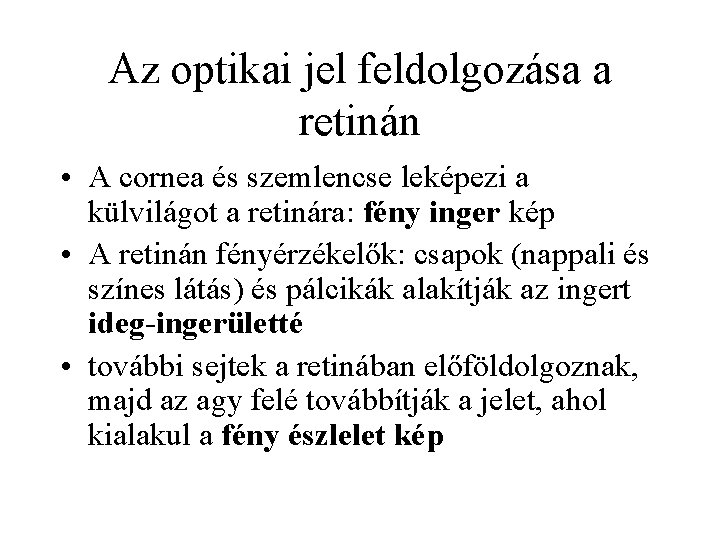 Az optikai jel feldolgozása a retinán • A cornea és szemlencse leképezi a külvilágot