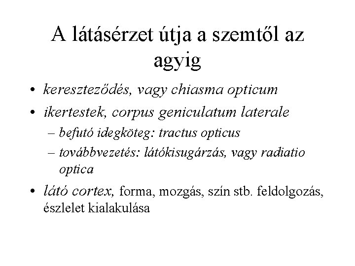 A látásérzet útja a szemtől az agyig • kereszteződés, vagy chiasma opticum • ikertestek,