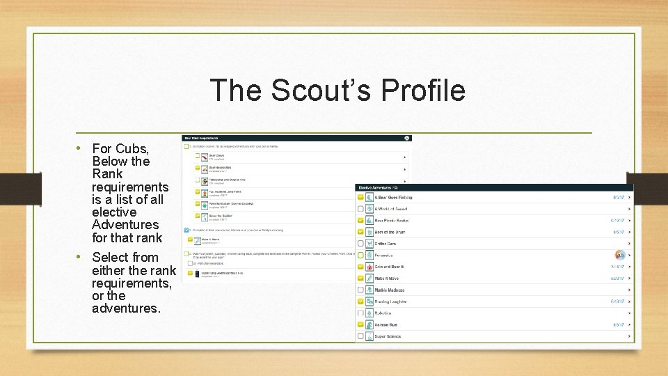  The Scout’s Profile • For Cubs, Below the Rank requirements is a list