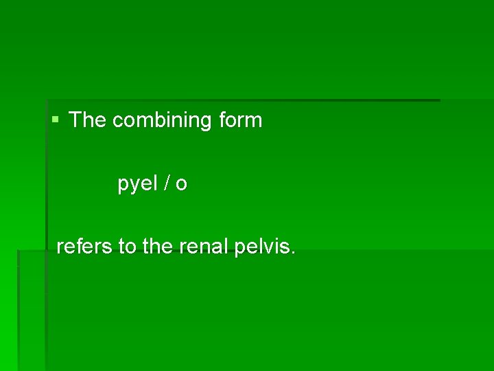 § The combining form pyel / o refers to the renal pelvis. 