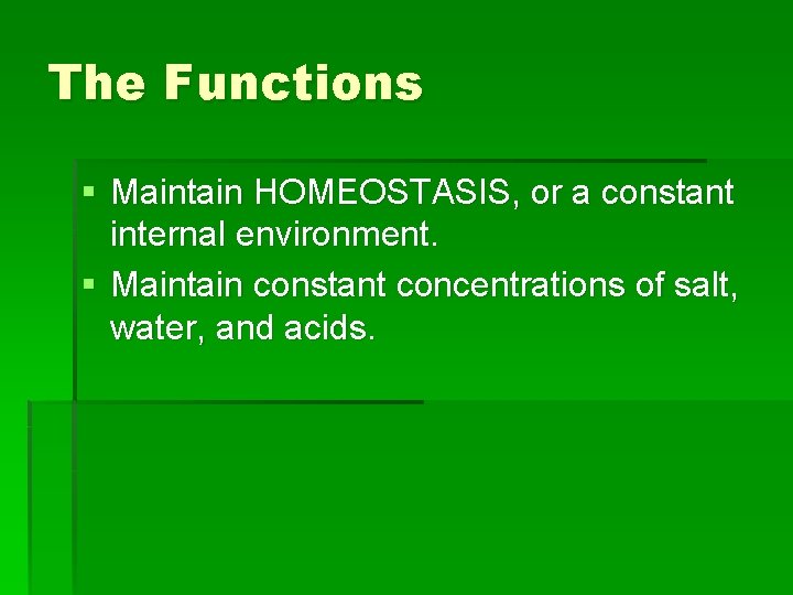 The Functions § Maintain HOMEOSTASIS, or a constant internal environment. § Maintain constant concentrations