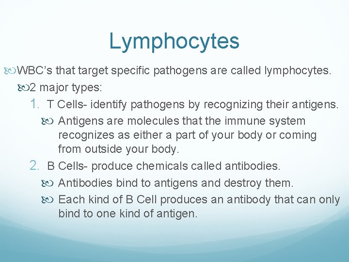 Lymphocytes WBC’s that target specific pathogens are called lymphocytes. 2 major types: 1. T