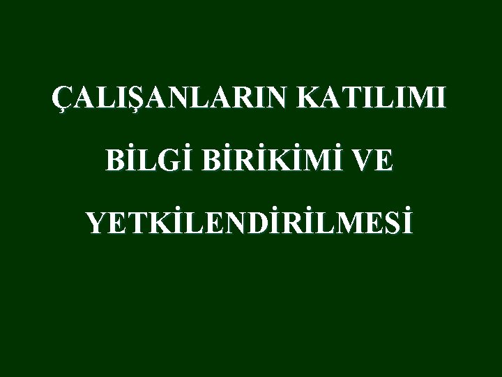 ÇALIŞANLARIN KATILIMI BİLGİ BİRİKİMİ VE YETKİLENDİRİLMESİ 