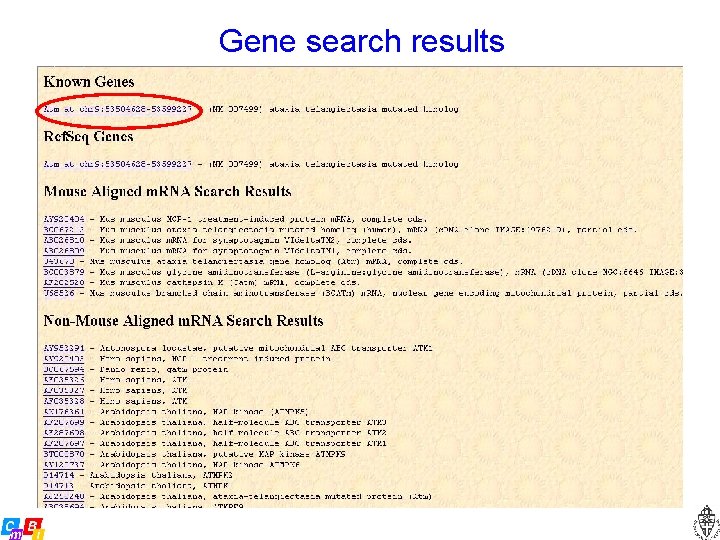 Gene search results 