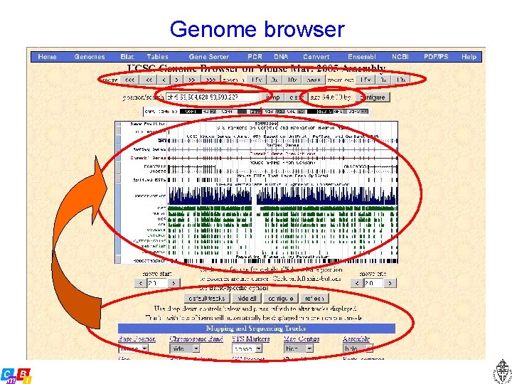 Genome browser 