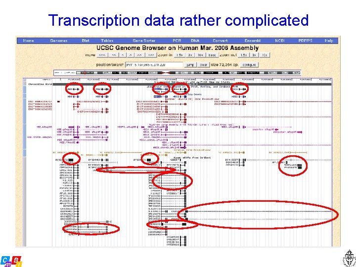 Transcription data rather complicated 