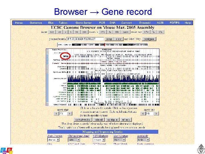 Browser → Gene record 