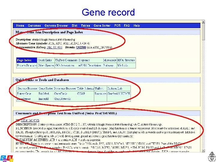 Gene record 