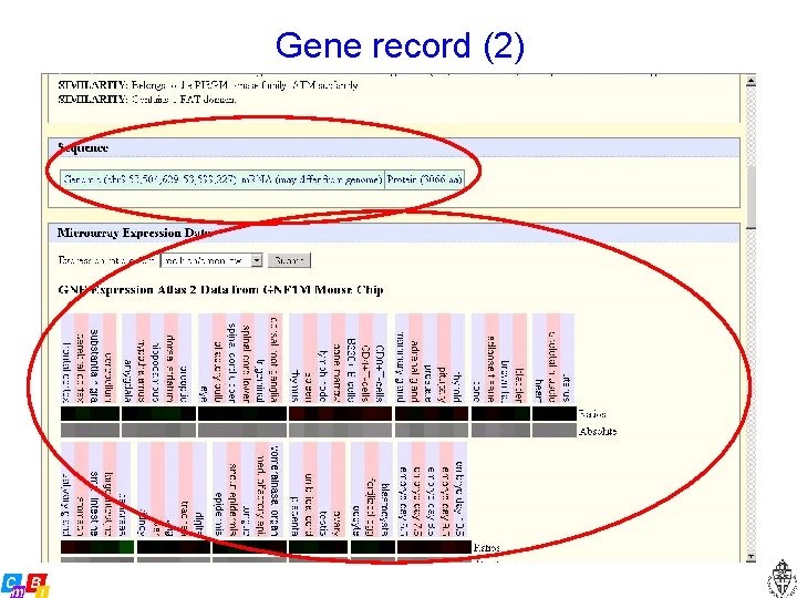 Gene record (2) 