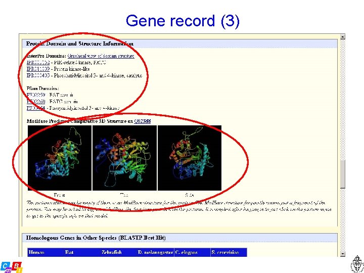 Gene record (3) 